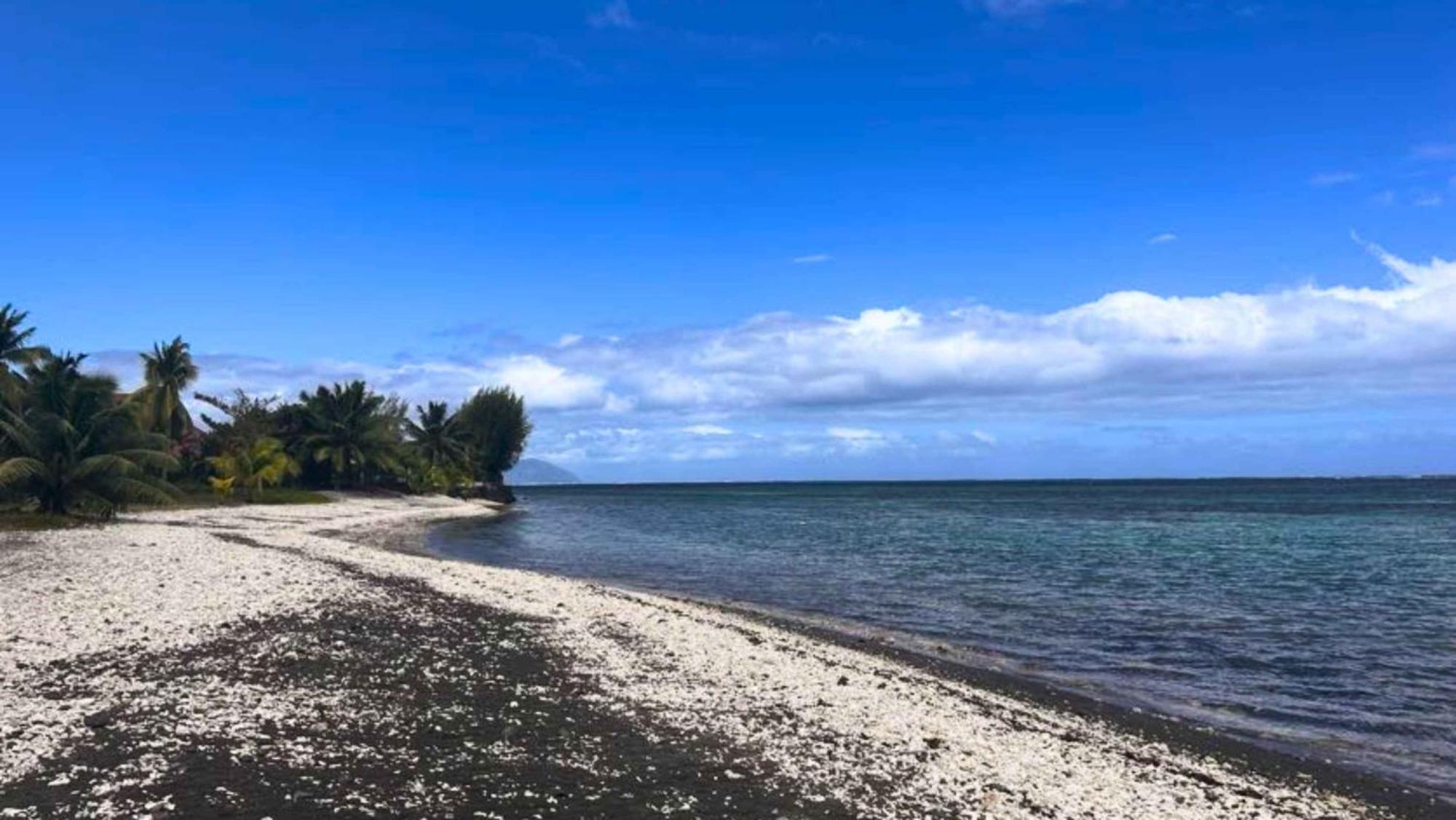 Tahiti - Domaine Mango Lodge Papara Esterno foto